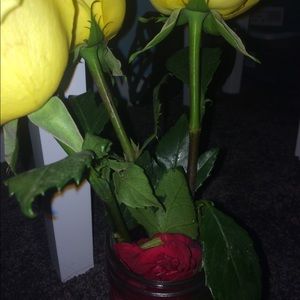 Meet your Posher, Cameron